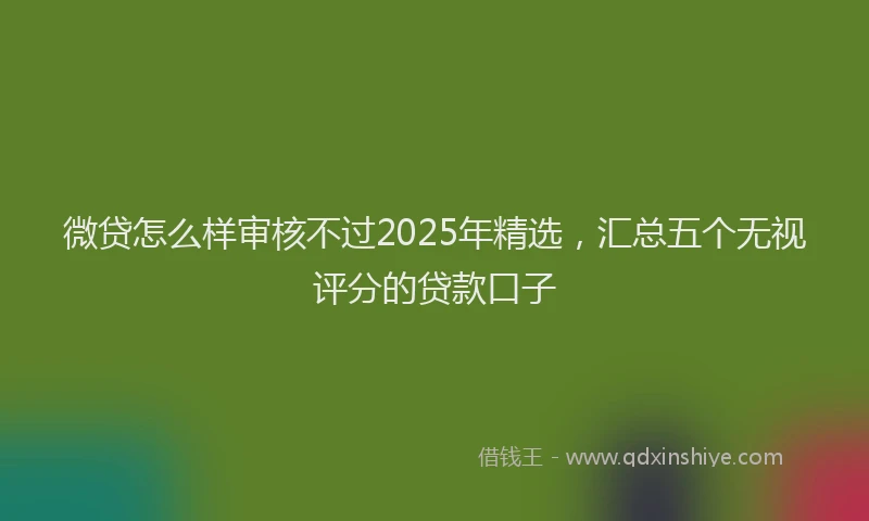 微贷怎么样审核不过2025年精选，汇总五个无视评分的贷款口子