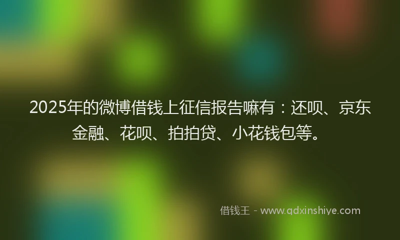 2025年的微博借钱上征信报告嘛有：还呗、京东金融、花呗、拍拍贷、小花钱包等。