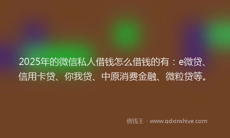 2025年的微信私人借钱怎么借钱的有：e微贷、信用卡贷、你我贷、中原消费金融、微粒贷等。