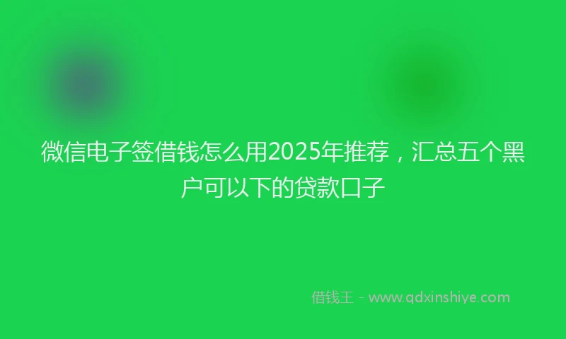 微信电子签借钱怎么用2025年推荐，汇总五个黑户可以下的贷款口子