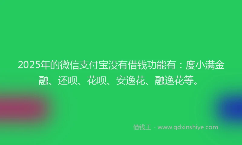 2025年的微信支付宝没有借钱功能有：度小满金融、还呗、花呗、安逸花、融逸花等。