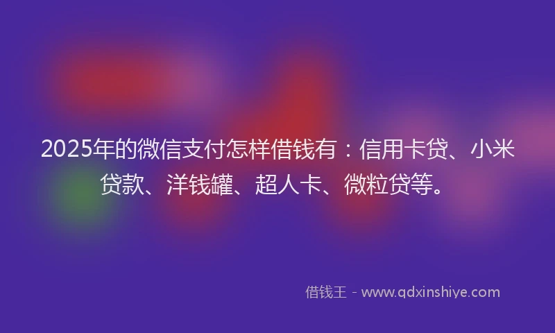 2025年的微信支付怎样借钱有：信用卡贷、小米贷款、洋钱罐、超人卡、微粒贷等。