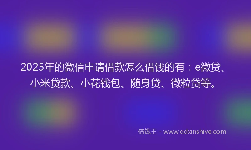 2025年的微信申请借款怎么借钱的有：e微贷、小米贷款、小花钱包、随身贷、微粒贷等。