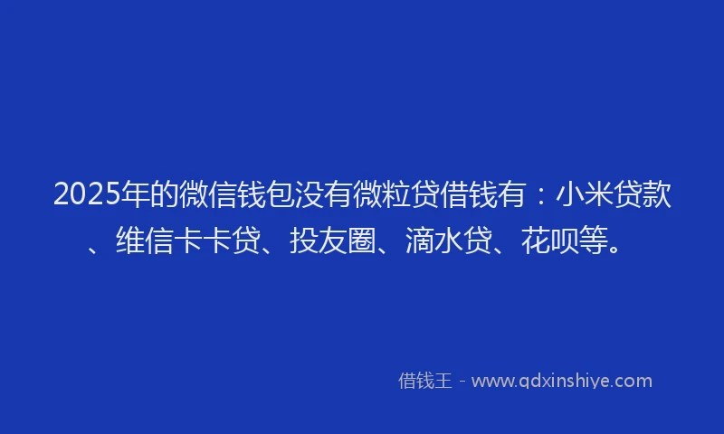 2025年的微信钱包没有微粒贷借钱有：小米贷款、维信卡卡贷、投友圈、滴水贷、花呗等。