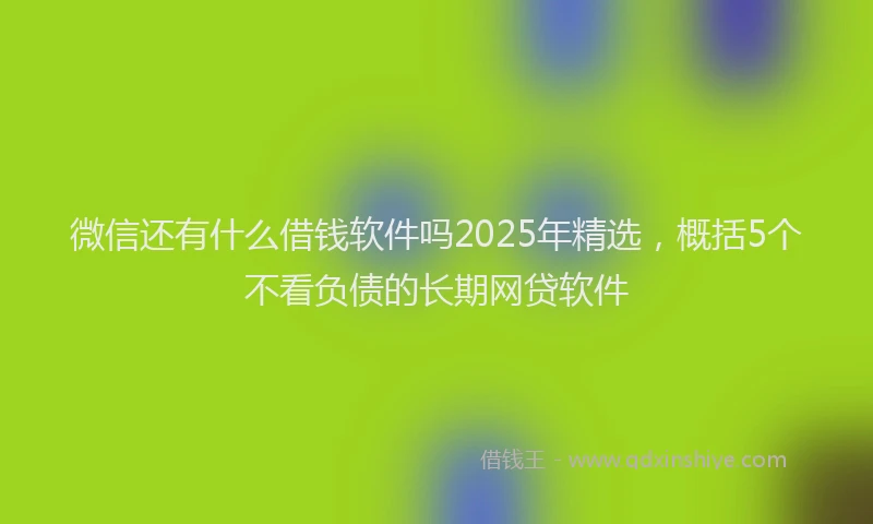微信还有什么借钱软件吗2025年精选，概括5个不看负债的长期网贷软件