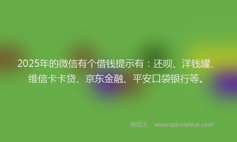 2025年的微信有个借钱提示有：还呗、洋钱罐、维信卡卡贷、京东金融、平安口袋银行等。