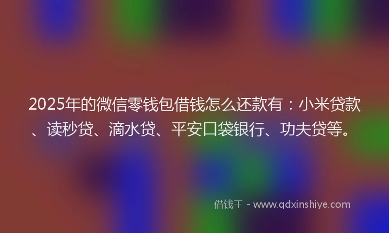 2025年的微信零钱包借钱怎么还款有：小米贷款、读秒贷、滴水贷、平安口袋银行、功夫贷等。