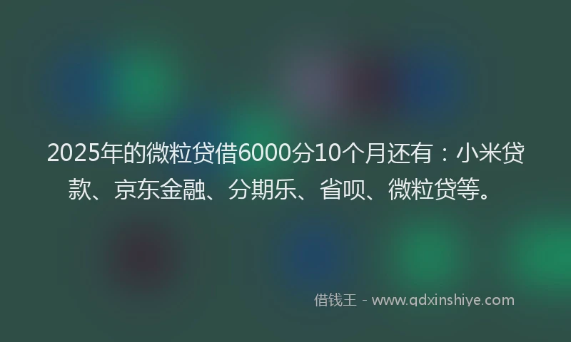 2025年的微粒贷借6000分10个月还有：小米贷款、京东金融、分期乐、省呗、微粒贷等。