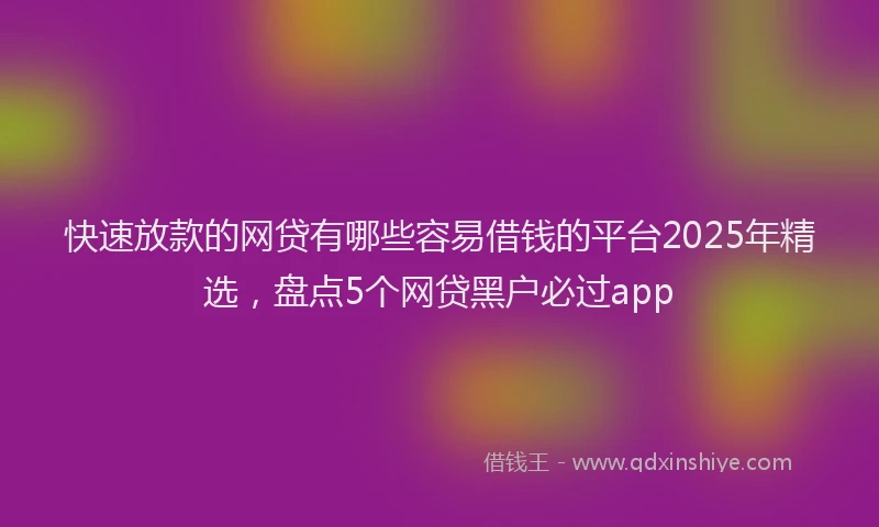 快速放款的网贷有哪些容易借钱的平台2025年精选，盘点5个网贷黑户必过app