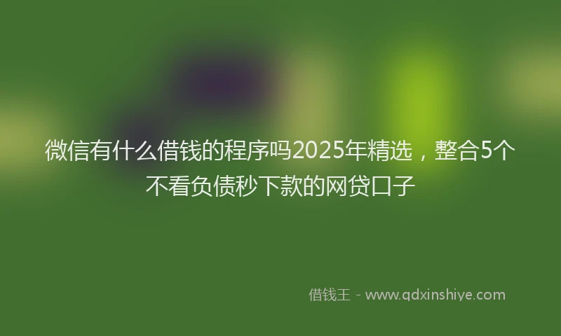 微信有什么借钱的程序吗2025年精选，整合5个不看负债秒下款的网贷口子
