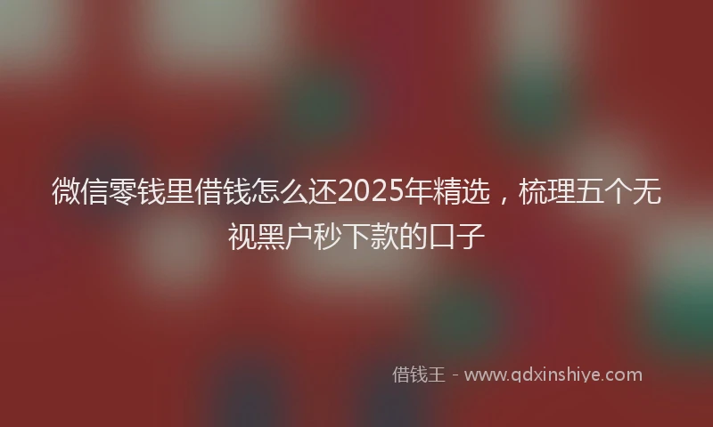 微信零钱里借钱怎么还2025年精选，梳理五个无视黑户秒下款的口子