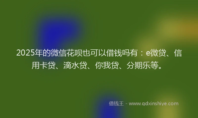 2025年的微信花呗也可以借钱吗有：e微贷、信用卡贷、滴水贷、你我贷、分期乐等。