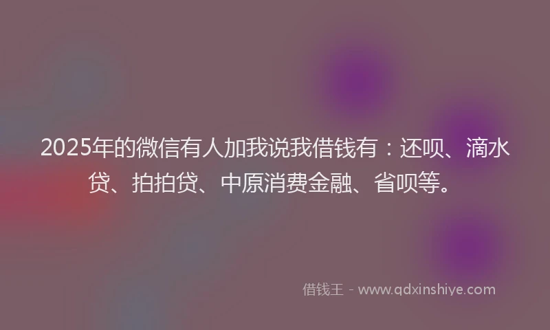 2025年的微信有人加我说我借钱有：还呗、滴水贷、拍拍贷、中原消费金融、省呗等。