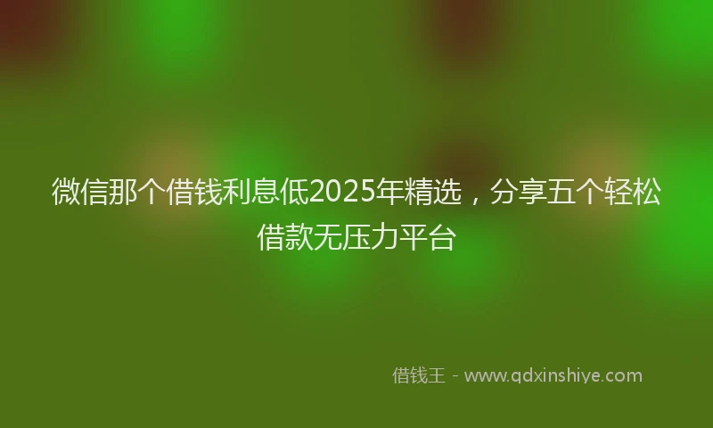 微信那个借钱利息低2025年精选，分享五个轻松借款无压力平台