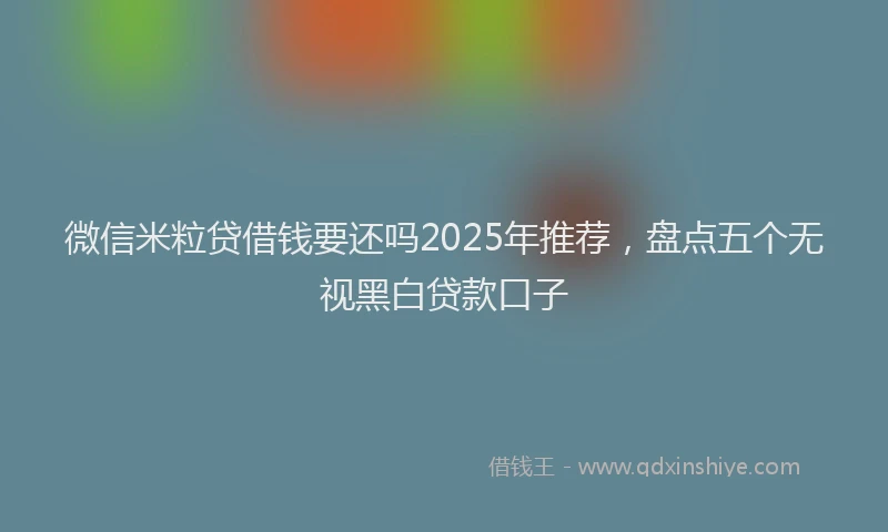 微信米粒贷借钱要还吗2025年推荐，盘点五个无视黑白贷款口子