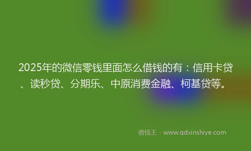 2025年的微信零钱里面怎么借钱的有：信用卡贷、读秒贷、分期乐、中原消费金融、柯基贷等。