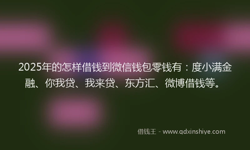 2025年的怎样借钱到微信钱包零钱有：度小满金融、你我贷、我来贷、东方汇、微博借钱等。