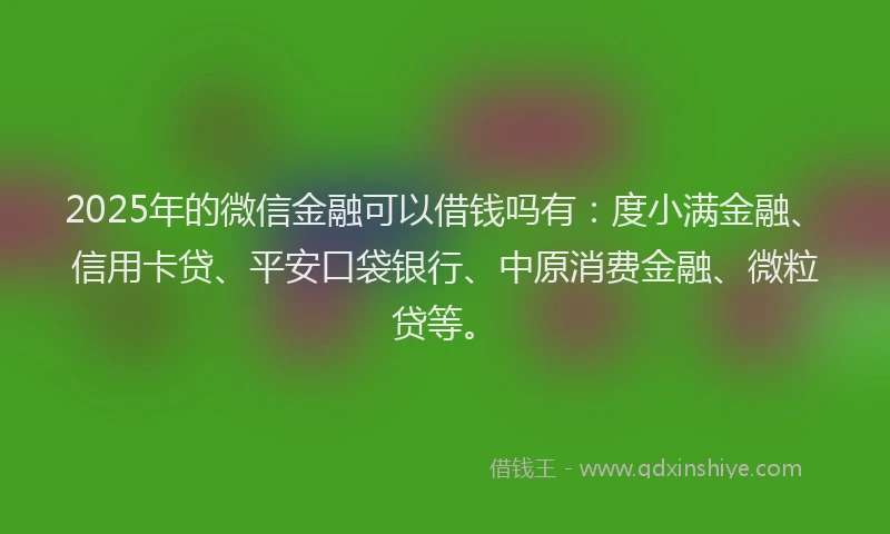 2025年的微信金融可以借钱吗有：度小满金融、信用卡贷、平安口袋银行、中原消费金融、微粒贷等。