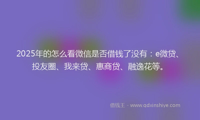 2025年的怎么看微信是否借钱了没有：e微贷、投友圈、我来贷、惠商贷、融逸花等。