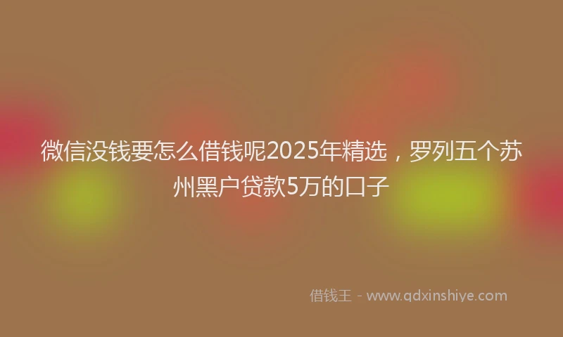 微信没钱要怎么借钱呢2025年精选，罗列五个苏州黑户贷款5万的口子