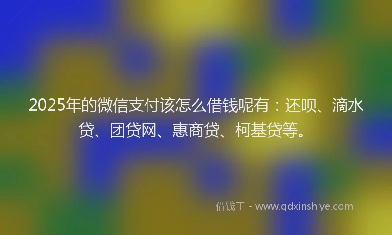 2025年的微信支付该怎么借钱呢有：还呗、滴水贷、团贷网、惠商贷、柯基贷等。