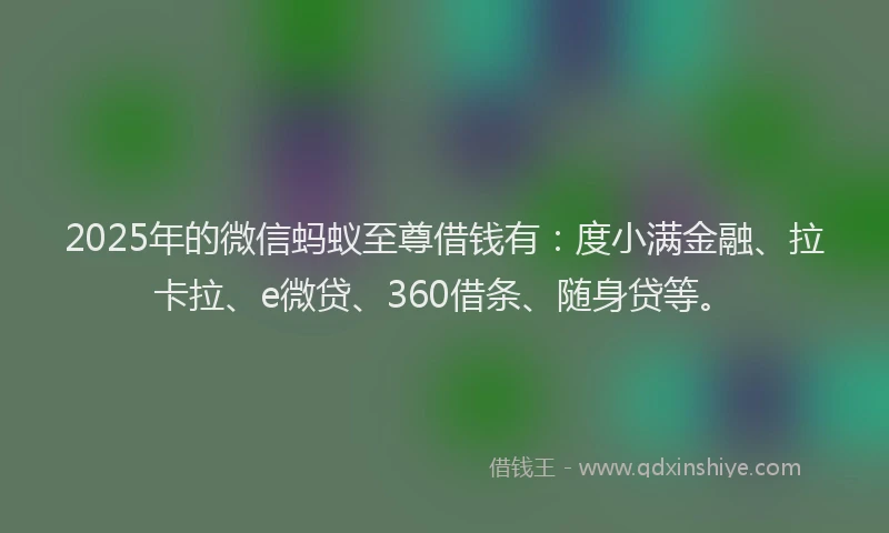 2025年的微信蚂蚁至尊借钱有：度小满金融、拉卡拉、e微贷、360借条、随身贷等。