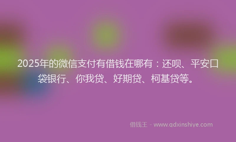 2025年的微信支付有借钱在哪有：还呗、平安口袋银行、你我贷、好期贷、柯基贷等。