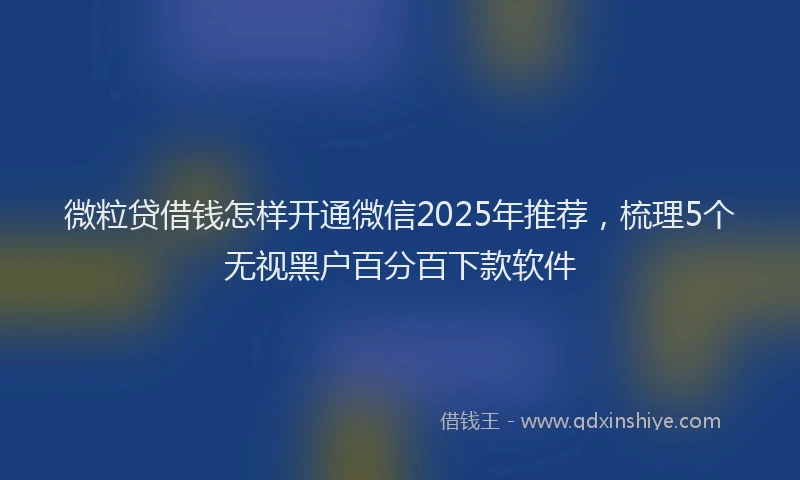 微粒贷借钱怎样开通微信2025年推荐，梳理5个无视黑户百分百下款软件