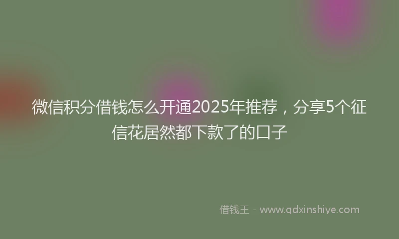 微信积分借钱怎么开通2025年推荐，分享5个征信花居然都下款了的口子