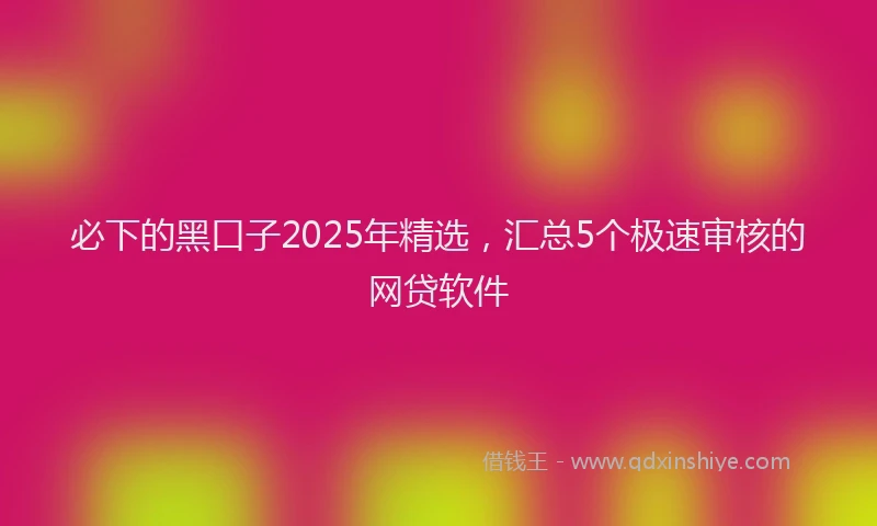 必下的黑口子2025年精选，汇总5个极速审核的网贷软件