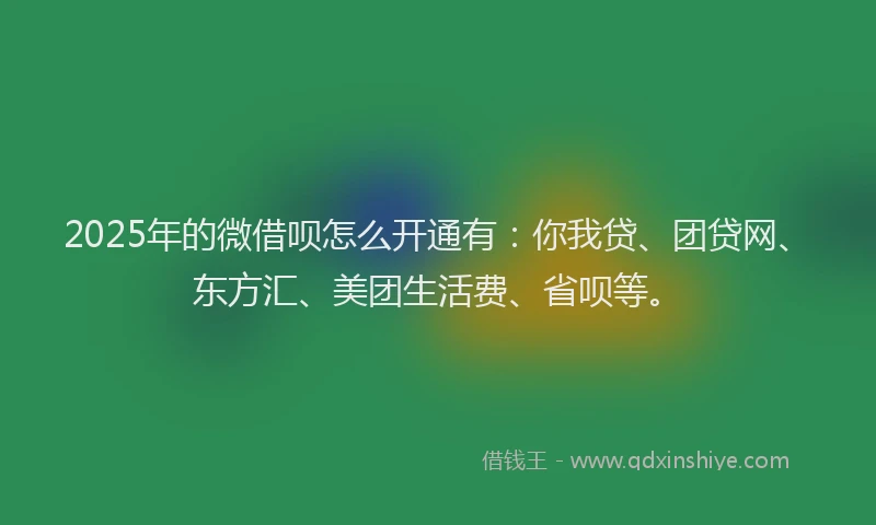 2025年的微借呗怎么开通有：你我贷、团贷网、东方汇、美团生活费、省呗等。