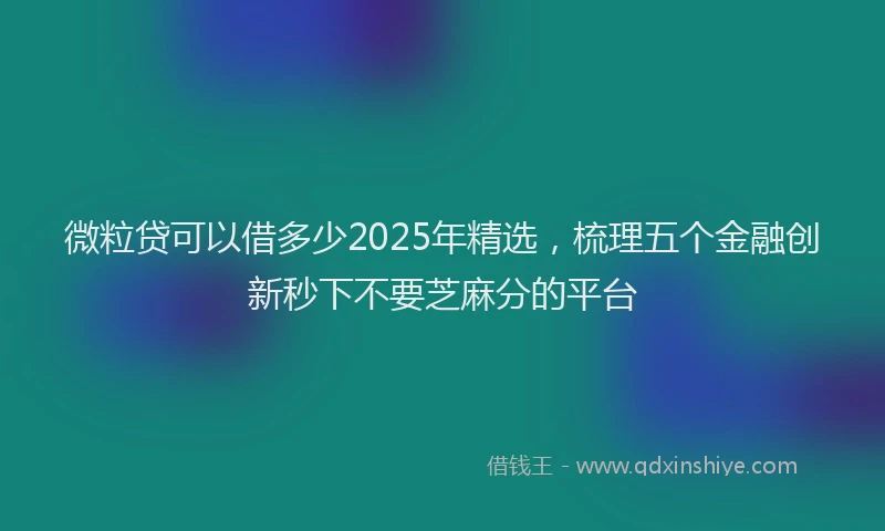 微粒贷可以借多少2025年精选，梳理五个金融创新秒下不要芝麻分的平台