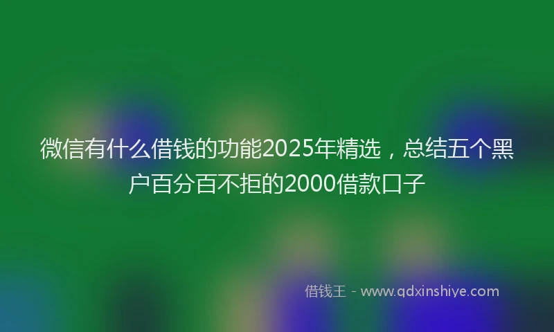 微信有什么借钱的功能2025年精选，总结五个黑户百分百不拒的2000借款口子