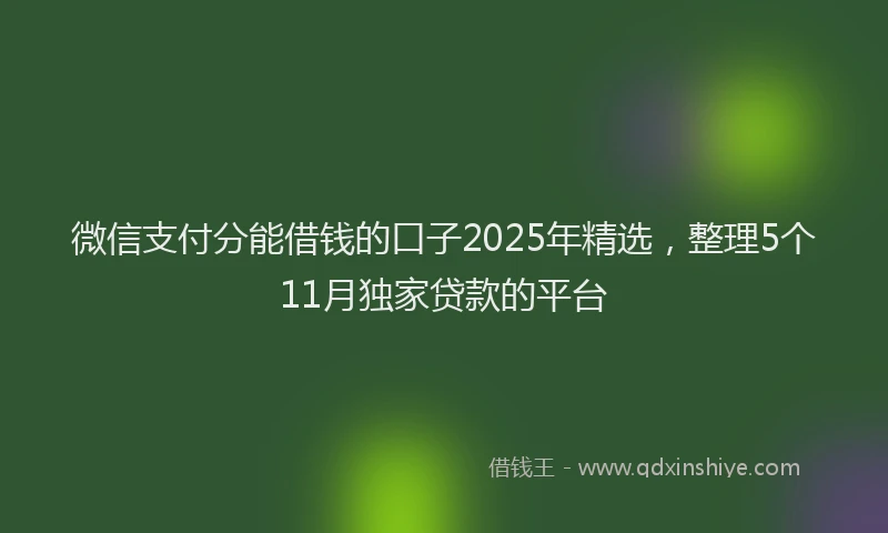 微信支付分能借钱的口子2025年精选，整理5个11月独家贷款的平台