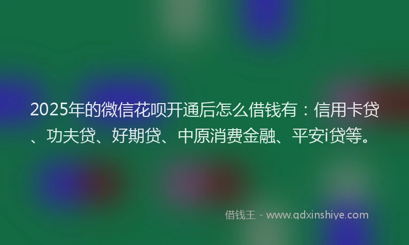 2025年的微信花呗开通后怎么借钱有：信用卡贷、功夫贷、好期贷、中原消费金融、平安i贷等。