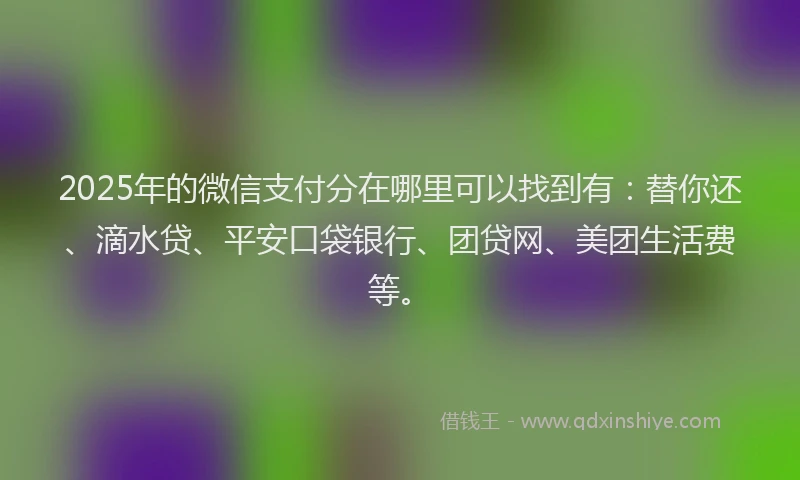 2025年的微信支付分在哪里可以找到有：替你还、滴水贷、平安口袋银行、团贷网、美团生活费等。