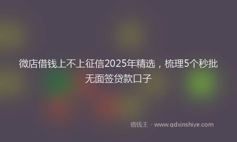 微店借钱上不上征信2025年精选，梳理5个秒批无面签贷款口子