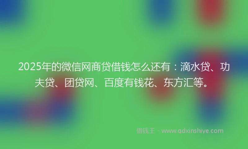 2025年的微信网商贷借钱怎么还有：滴水贷、功夫贷、团贷网、百度有钱花、东方汇等。
