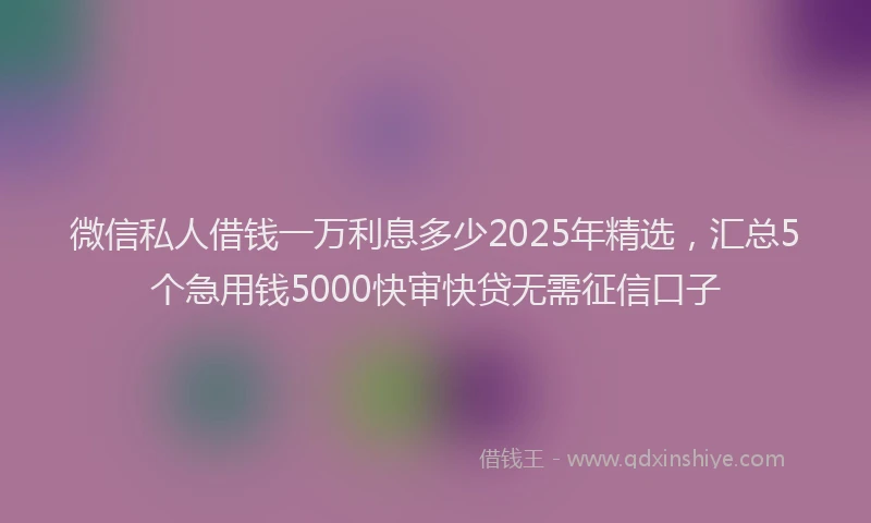 微信私人借钱一万利息多少2025年精选，汇总5个急用钱5000快审快贷无需征信口子