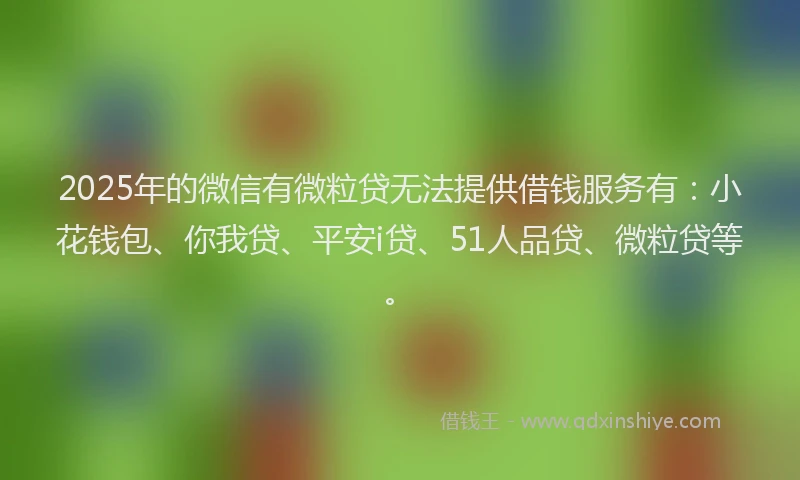 2025年的微信有微粒贷无法提供借钱服务有：小花钱包、你我贷、平安i贷、51人品贷、微粒贷等。
