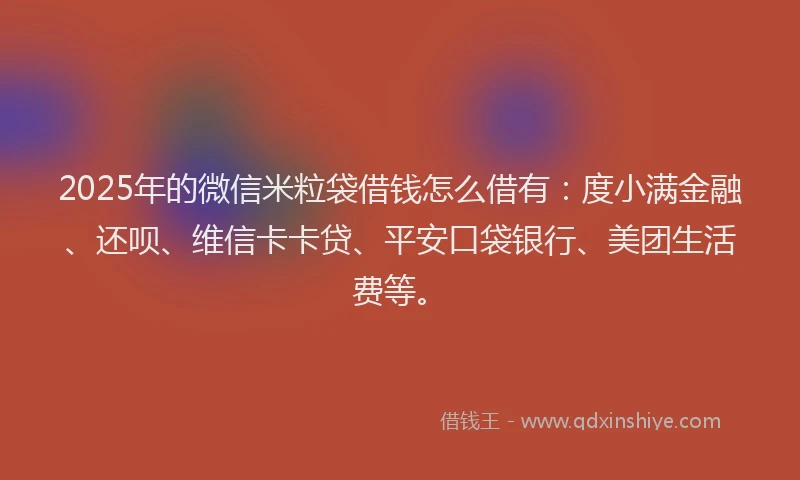 2025年的微信米粒袋借钱怎么借有：度小满金融、还呗、维信卡卡贷、平安口袋银行、美团生活费等。