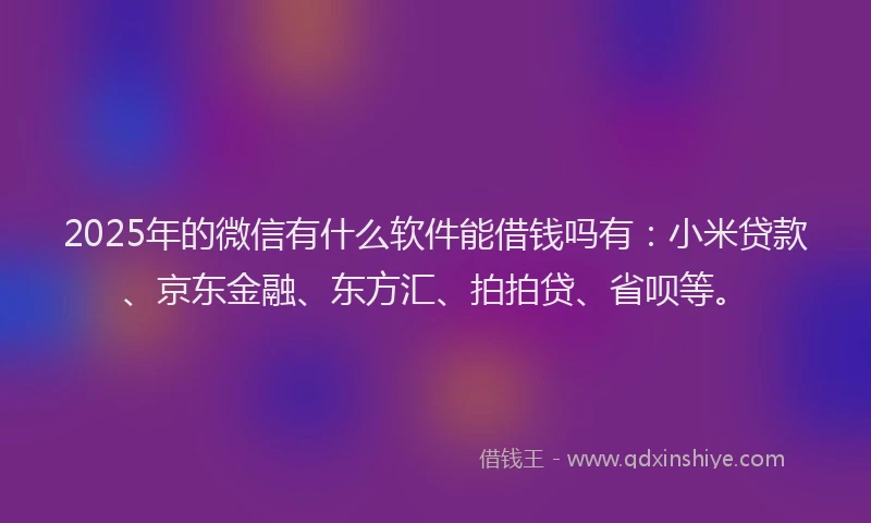 2025年的微信有什么软件能借钱吗有：小米贷款、京东金融、东方汇、拍拍贷、省呗等。