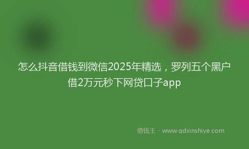 怎么抖音借钱到微信2025年精选，罗列五个黑户借2万元秒下网贷口子app