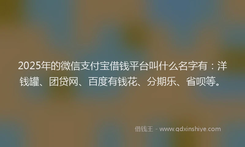 2025年的微信支付宝借钱平台叫什么名字有：洋钱罐、团贷网、百度有钱花、分期乐、省呗等。