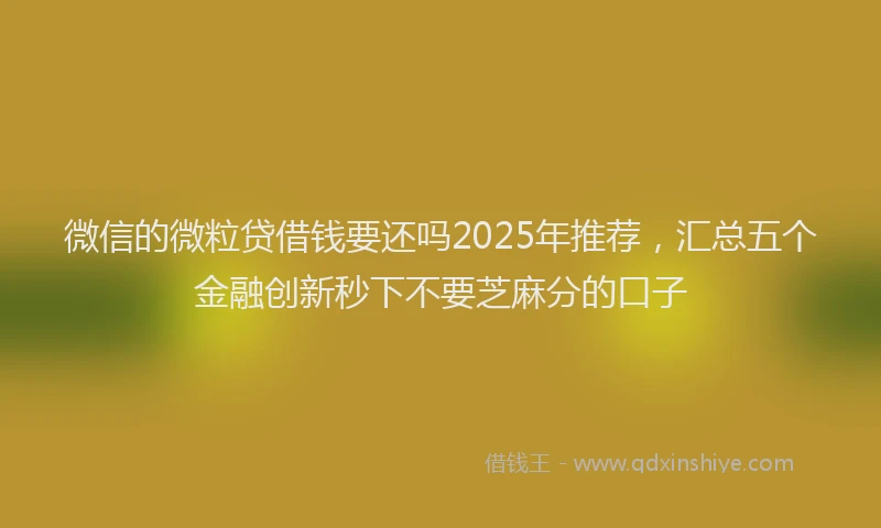 微信的微粒贷借钱要还吗2025年推荐，汇总五个金融创新秒下不要芝麻分的口子