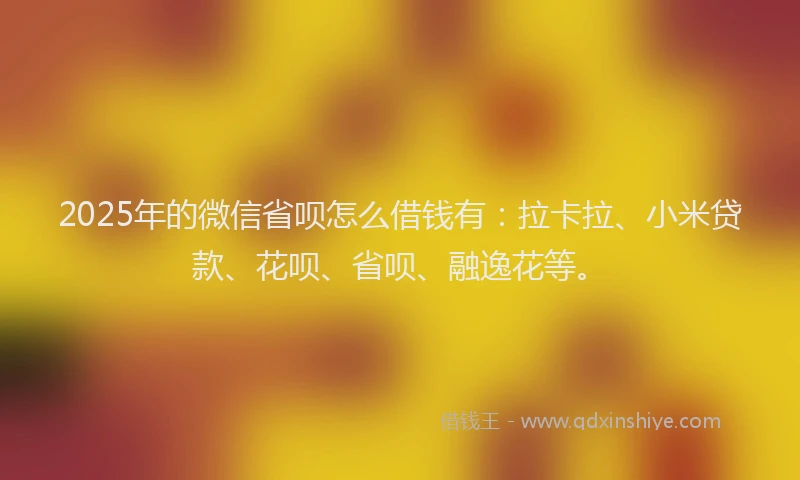 2025年的微信省呗怎么借钱有：拉卡拉、小米贷款、花呗、省呗、融逸花等。