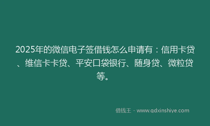 2025年的微信电子签借钱怎么申请有：信用卡贷、维信卡卡贷、平安口袋银行、随身贷、微粒贷等。