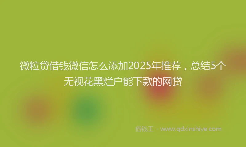微粒贷借钱微信怎么添加2025年推荐，总结5个无视花黑烂户能下款的网贷