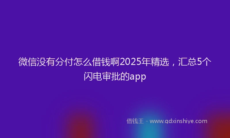 微信没有分付怎么借钱啊2025年精选，汇总5个闪电审批的app