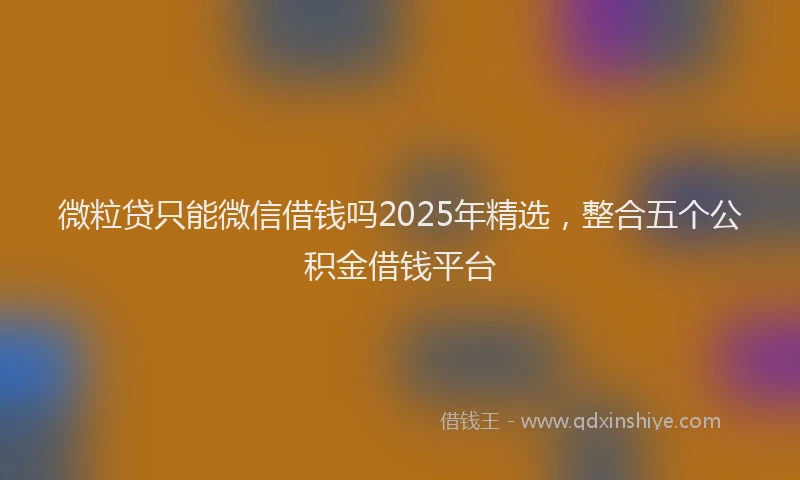 微粒贷只能微信借钱吗2025年精选，整合五个公积金借钱平台